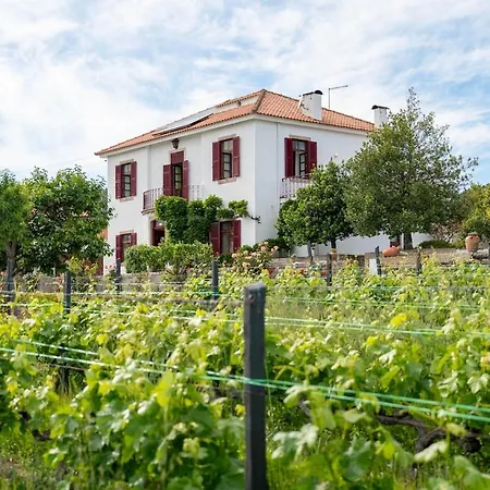 Casa Do Vale - Retreat In The Douro Vineyards Villa Provesende