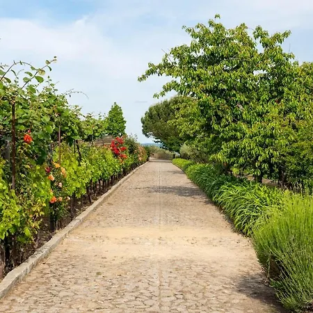 Casa Do Vale - Retreat In The Douro Vineyards *