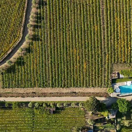Casa Do Vale - Retreat In The Douro Vineyards * Provesende