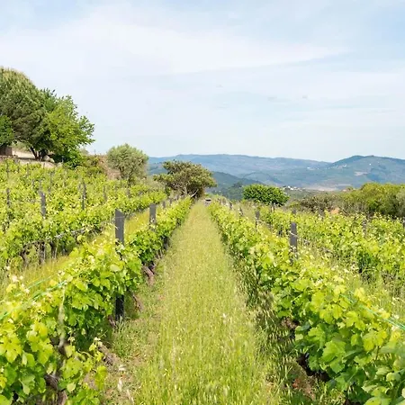 Villa Casa Do Vale - Retreat In The Douro Vineyards *