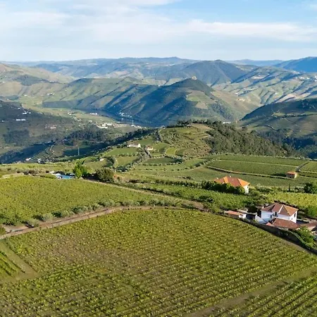 Casa Do Vale - Retreat In The Douro Vineyards * Provesende