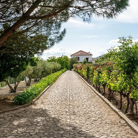 Villa Casa Do Vale - Retreat In The Douro Vineyards Provesende