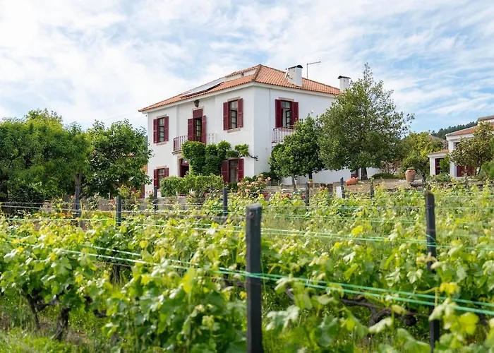 Casa Do Vale - Retreat In The Douro Vineyards וילה Provesende