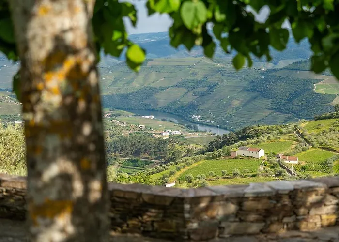 Casa Do Vale - Retreat In The Douro Vineyards *