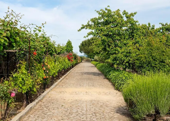 Casa Do Vale - Retreat In The Douro Vineyards *