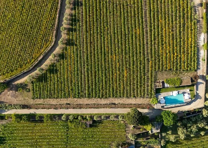 Casa Do Vale - Retreat In The Douro Vineyards * Provesende