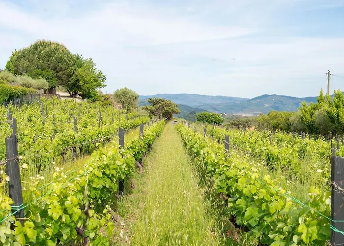 וילה Casa Do Vale - Retreat In The Douro Vineyards *