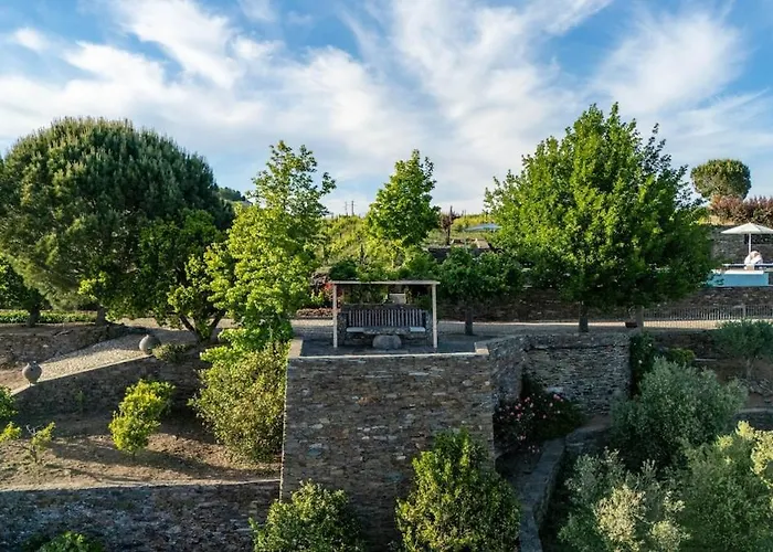 Casa Do Vale - Retreat In The Douro Vineyards וילה Provesende