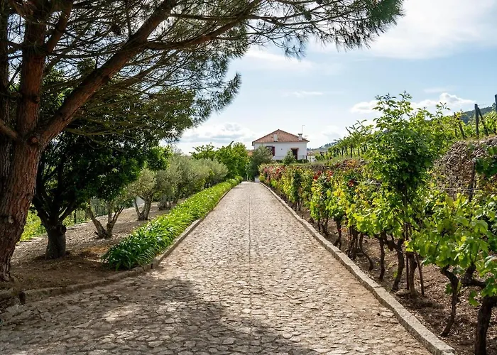 Вилла Casa Do Vale - Retreat In The Douro Vineyards Provesende
